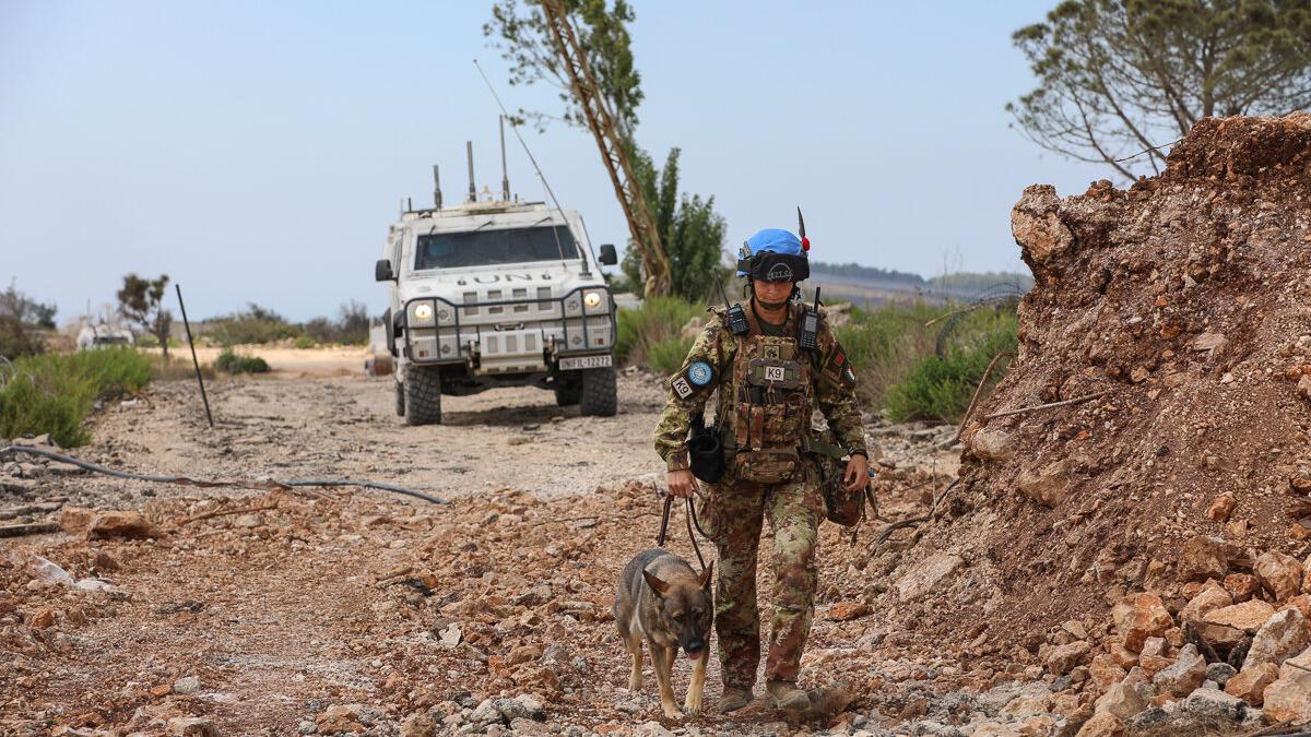 Recovery and resilience: Strengthening communities in south Lebanon